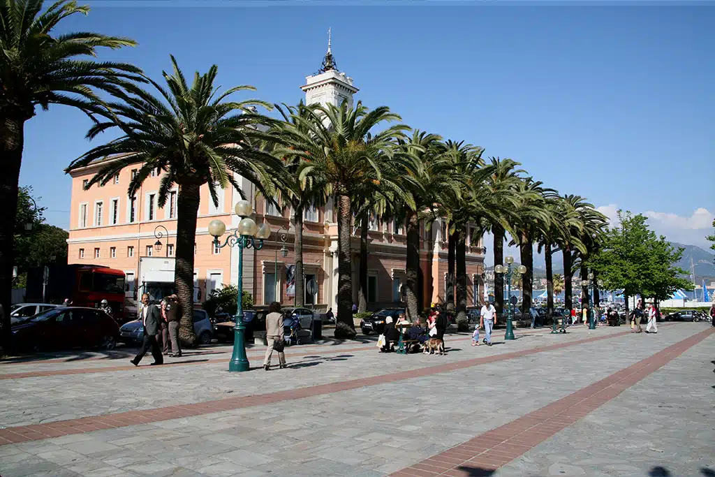 La place Foch avec ses palmiers de jour